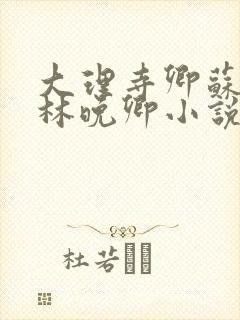 大理寺卿苏陌忆林晚卿小说笔趣阁