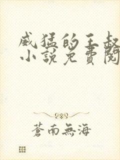 威猛的王叔叔的小说免费阅读