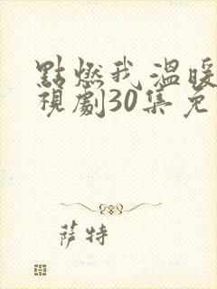 点燃我温暖你电视剧30集免费观看
