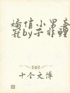 娇俏小男妾狠狠宠by子非鲤鱼免费阅读