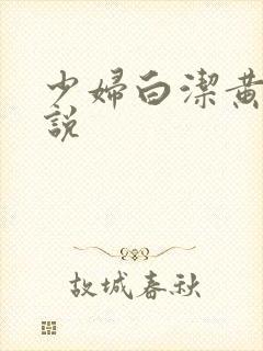 少妇白洁黄色小说