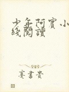 少年阿宾小说在线阅读