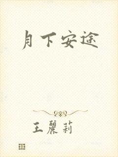 月下安途封面