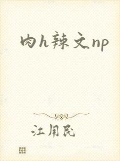 肉h辣文np