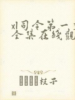 xl司令第一季全集在线观看中文版封面