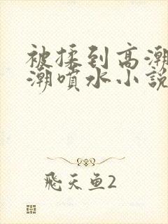 被揉到高潮失禁潮喷水小说