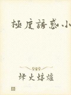 极度诱惑小说封面