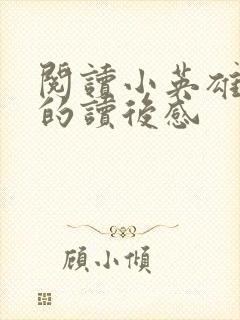 阅读小英雄雨来的读后感封面