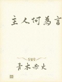 主人何为言少钱封面