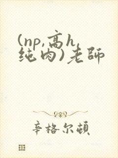 (np,高h,纯肉)老师
