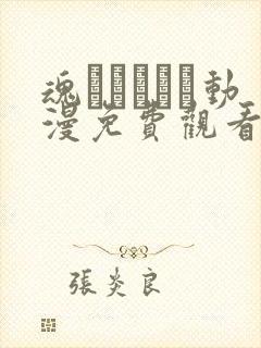 魂インサート动漫免费观看第二集封面