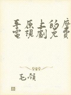 平原上的摩西 电视剧免费封面