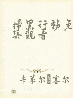 扫黑行动免费全集观看封面