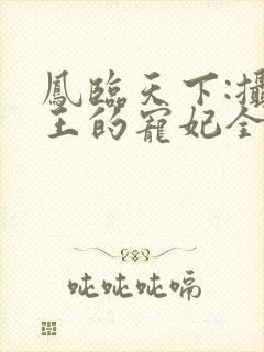 凤临天下:摄政王的宠妃全文免费阅读封面