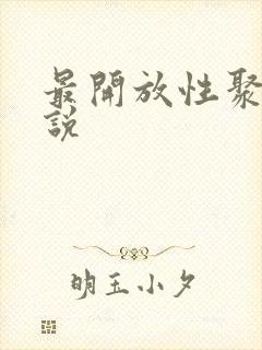 最开放性聚会小说封面