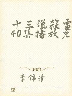 十三猎杀电视剧40集播放免费观看