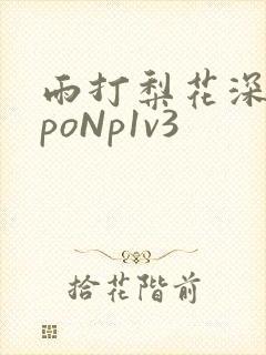 雨打梨花深闭门poNp1v3封面