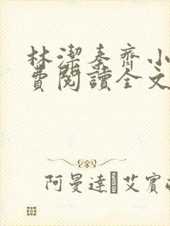 林洁秦齐小说免费阅读全文最新章节