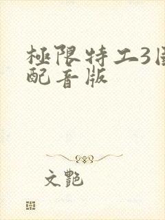 极限特工3国语配音版封面