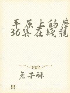 平原上的摩西第36集在线观看免费完整版