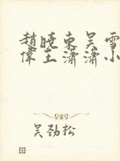 赵晓东吴雪晴郑伟王潇潇小说封面