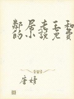 邻居老王和盈盈的小说免费阅读