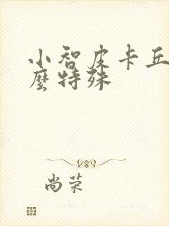 小智皮卡丘有什么特殊封面