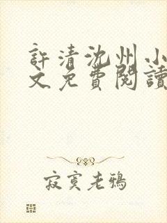 许清沈州小说全文免费阅读