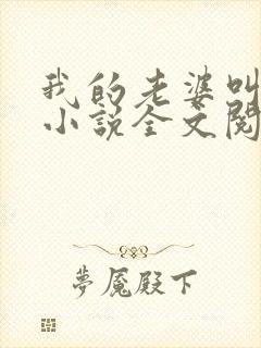 我的老婆叫武艳小说全文阅读