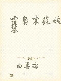 霍枭寒苏婉苏晓慧