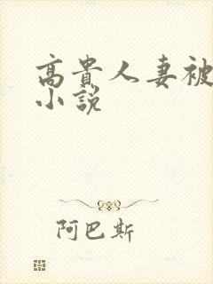 高贵人妻被调教小说