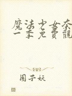 魔法少女奈叶第一季免费观看