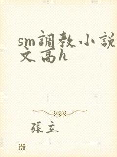 sm调教小说辣文高h