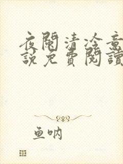 夜阑清冷意欢小说免费阅读