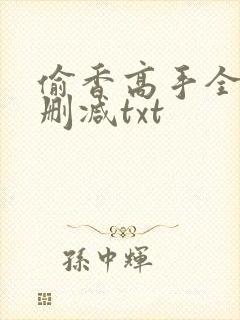 偷香高手全文无删减txt