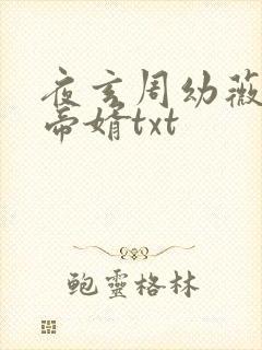 夜玄周幼薇万古帝婿txt封面