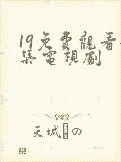 19免费观看全集电视剧