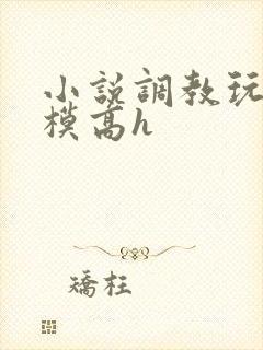 小说调教玩弄嫩模高h