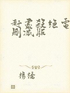 赶尽杀绝电影无删减版