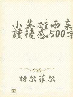 小英雄雨来全书读后感500字