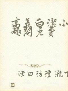 高义白洁小说笔趣阁免费