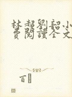 林超刘韶小说免费阅读全文最新章节封面