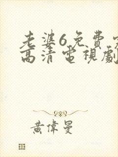 老婆6免费完整高清电视剧看封面