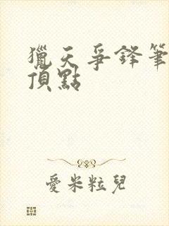 猎天争锋笔趣阁顶点