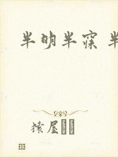 半明半寐 半夏封面