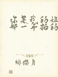 你是我的姐妹是哪一年拍的电视剧封面