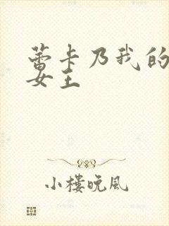 蕾卡乃我的华丽女王