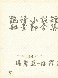 艳情小说短篇全部章节合集免费阅读