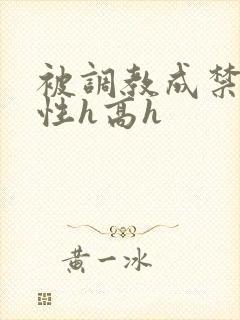 被调教成禁脔双性h高h