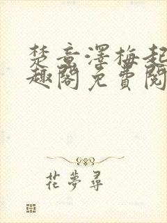 楚意泽梅起岚笔趣阁免费阅读封面